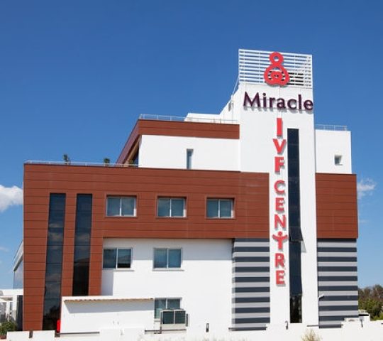 Miracle Hospital Miracle Hospital